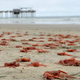 Photo by Scripps Institution of Oceanography